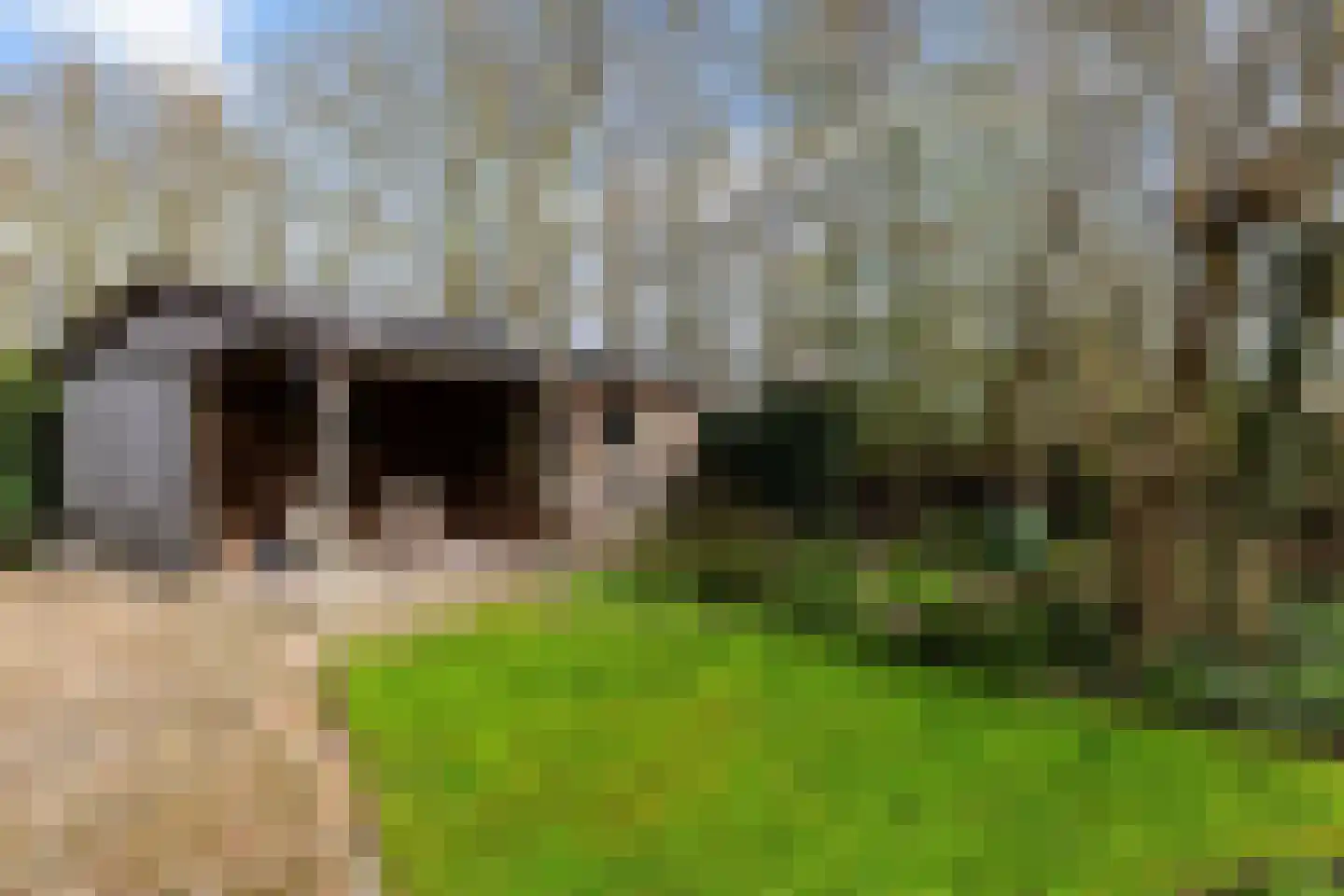 Siebold Sissinghlaan 15 Groningen thumbnail 55