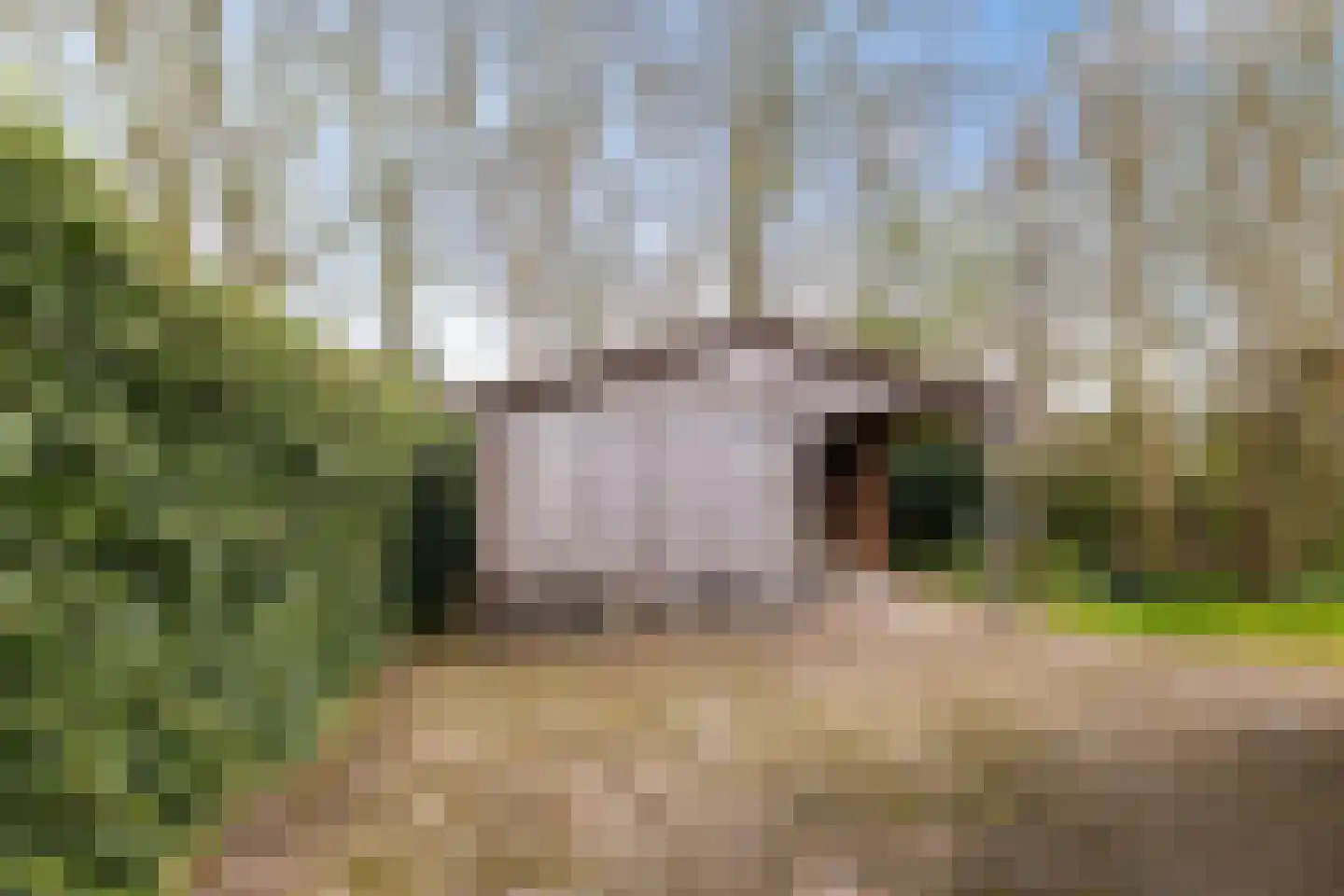 Siebold Sissinghlaan 15 Groningen thumbnail 56