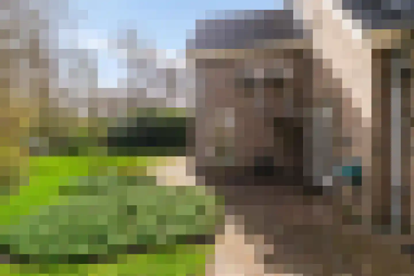 Siebold Sissinghlaan 15 Groningen thumbnail 57