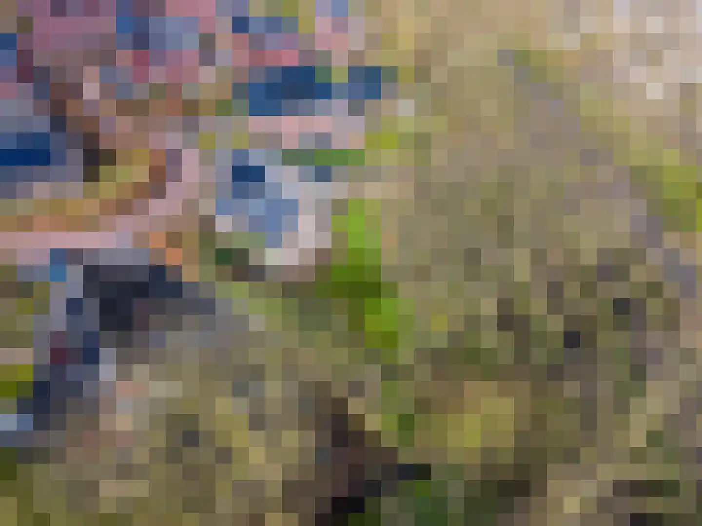 Siebold Sissinghlaan 15 Groningen thumbnail 58