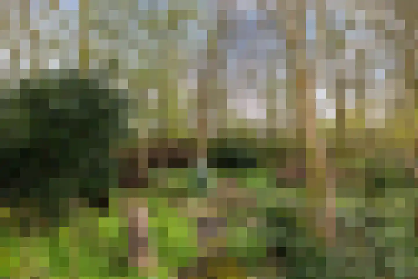 Siebold Sissinghlaan 15 Groningen thumbnail 59