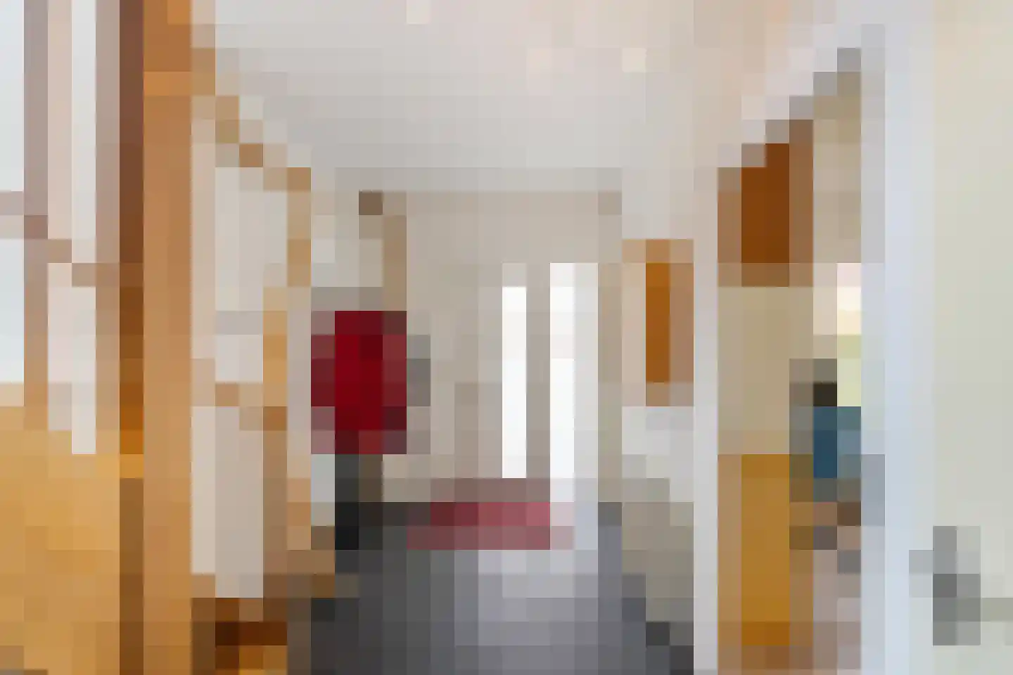 Siebold Sissinghlaan 15 Groningen thumbnail 7