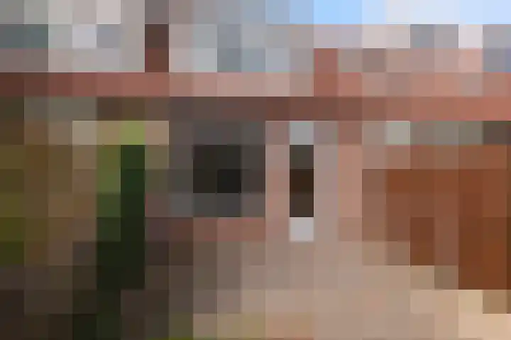 Siebren van der Baanhof 16 Amsterdam thumbnail 15