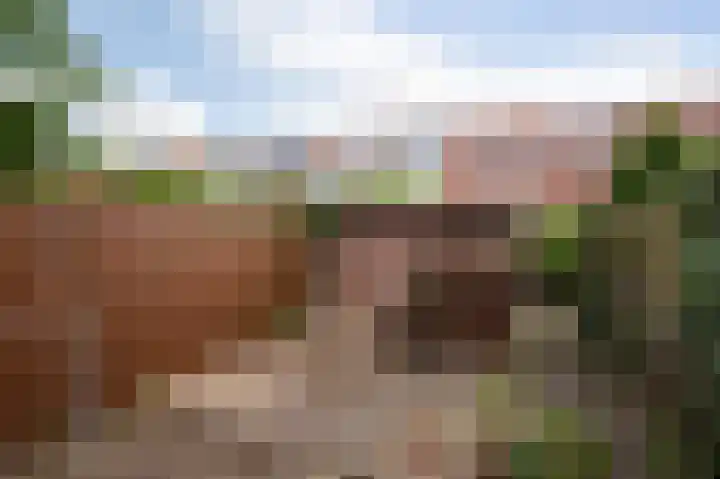 Siebren van der Baanhof 16 Amsterdam thumbnail 5