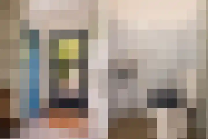 Siebren van der Baanhof 16 Amsterdam thumbnail 8