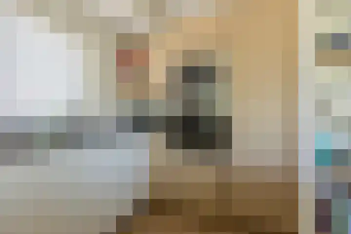 Siedersstraat 2 Culemborg thumbnail 15