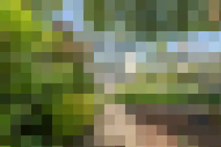 Siedersstraat 2 Culemborg thumbnail 34