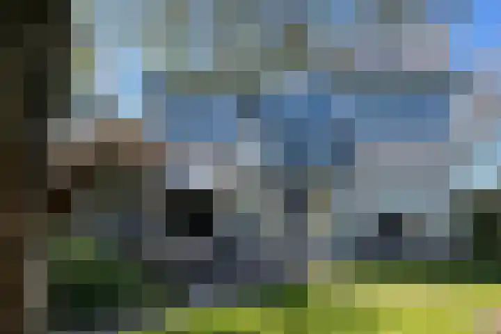Siedersstraat 2 Culemborg thumbnail 35