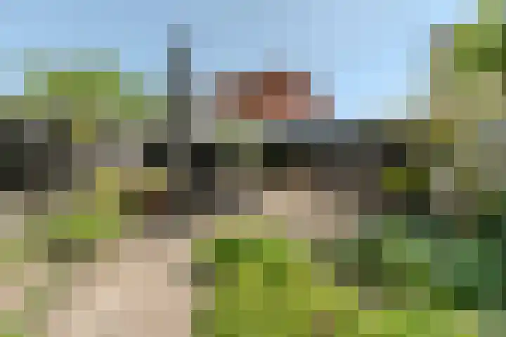 Siedersstraat 2 Culemborg thumbnail 38