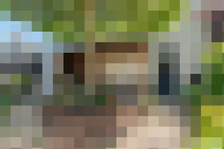 Siedersstraat 2 Culemborg thumbnail 39