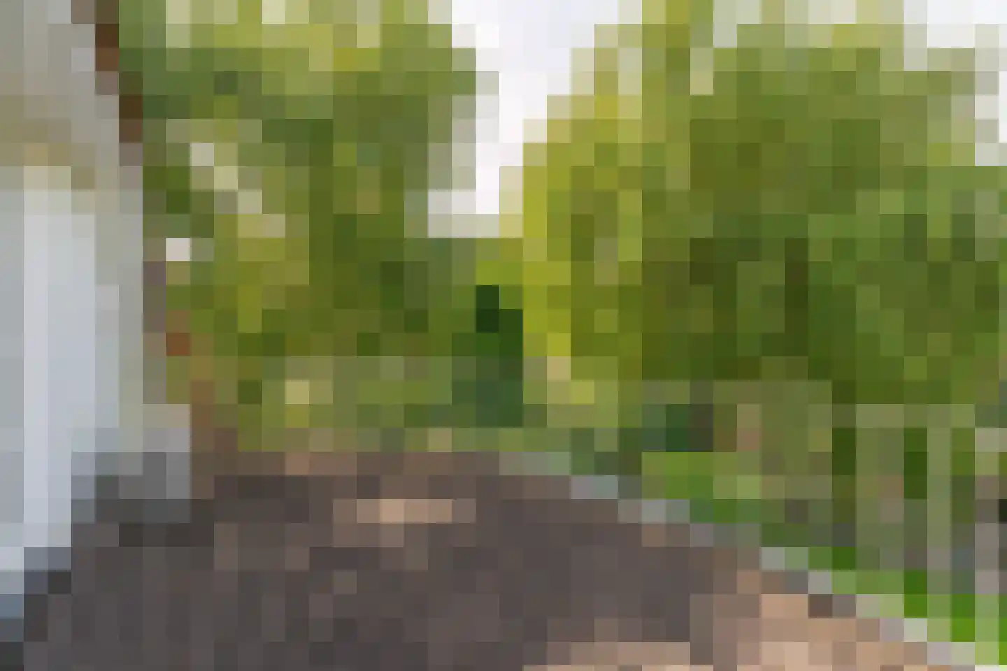 Siegenlaan 3 Rijnsburg thumbnail 24