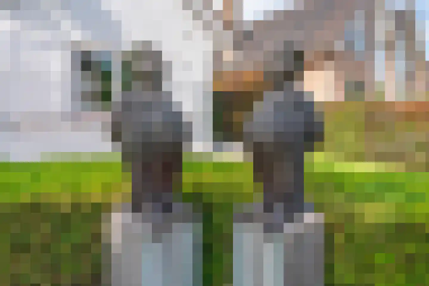 Siegenlaan 3 Rijnsburg thumbnail 34