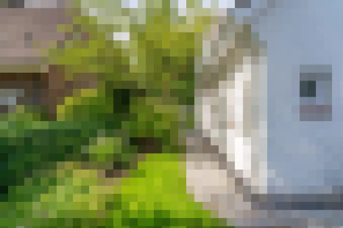 Siegenlaan 3 Rijnsburg thumbnail 35