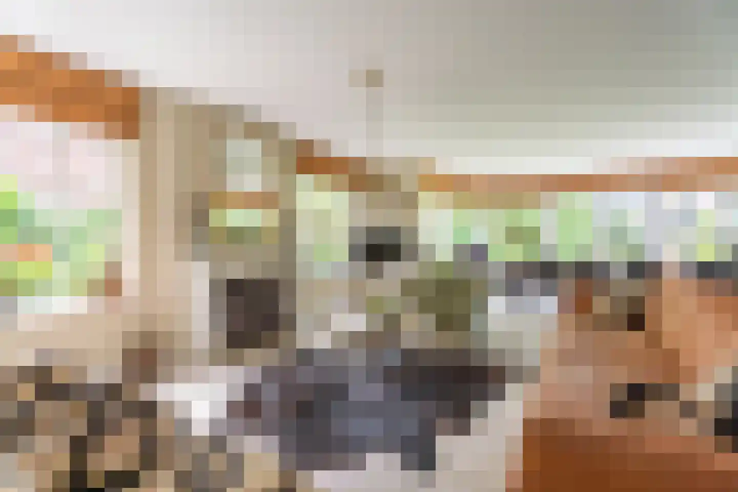 Siegenlaan 3 Rijnsburg thumbnail 4