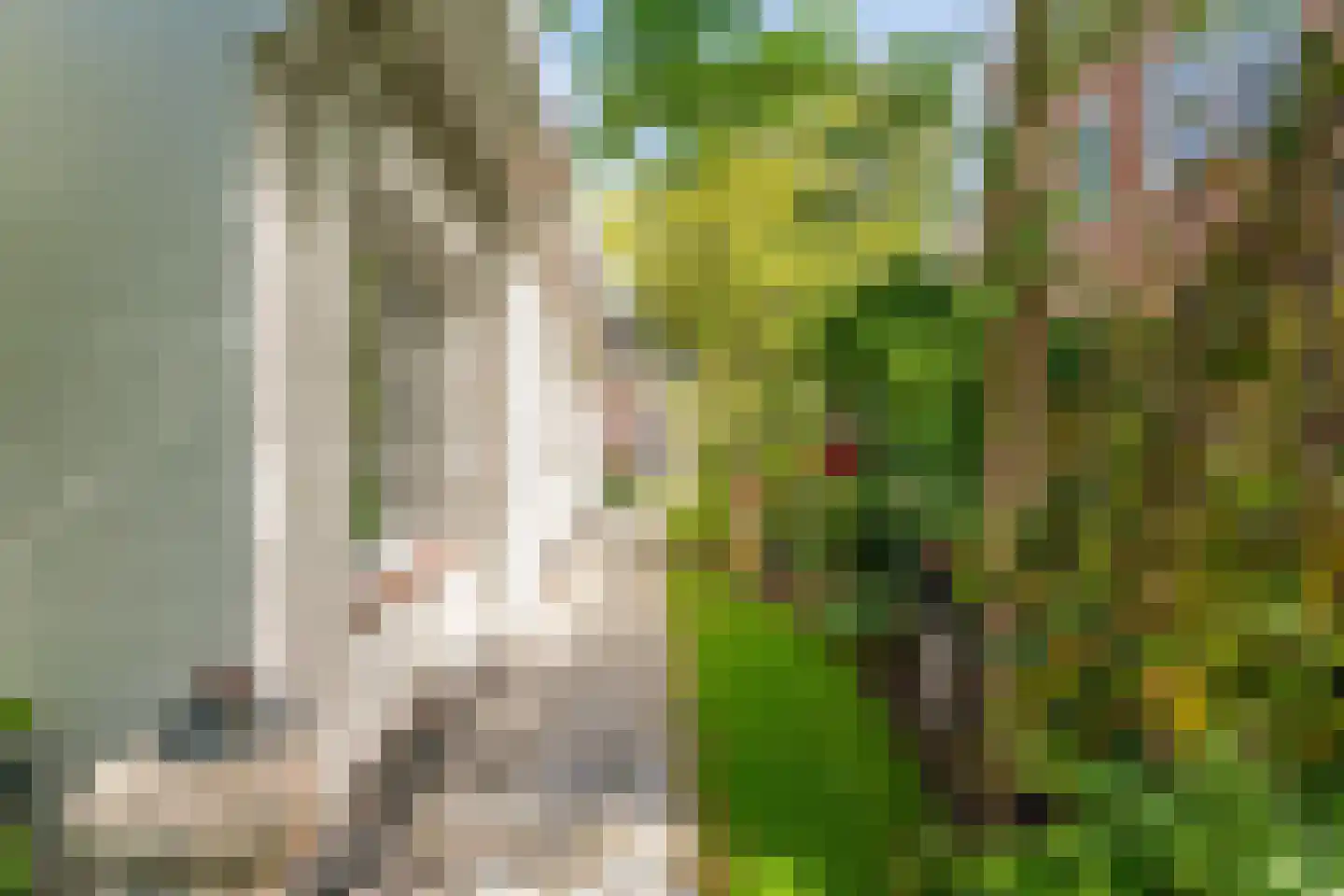 Siegenlaan 3 Rijnsburg thumbnail 42