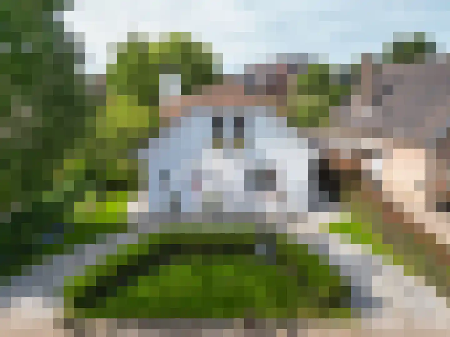 Siegenlaan 3 Rijnsburg thumbnail 48