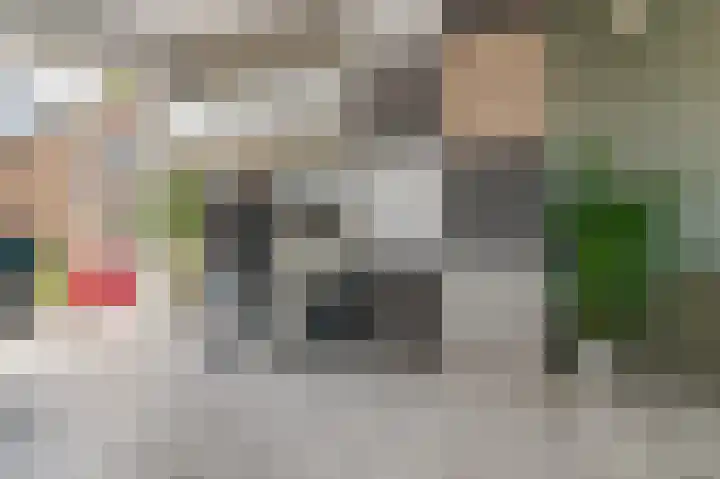 Sieger van der Laanstraat 105 Heerenveen thumbnail 18