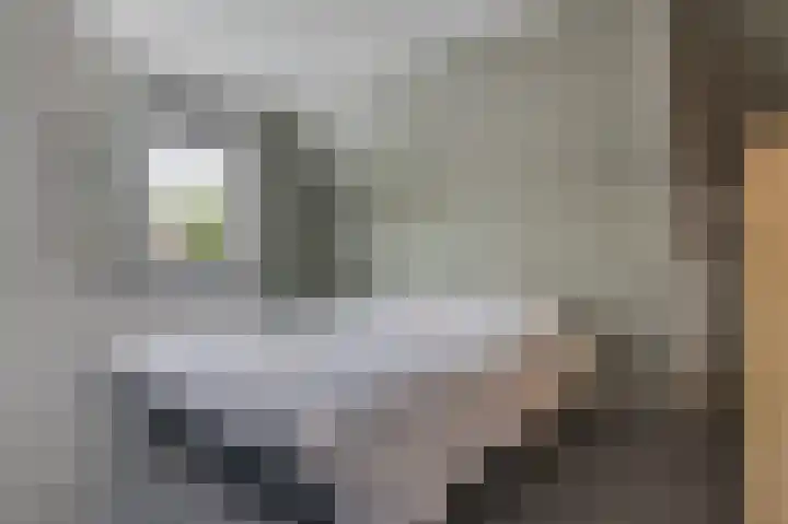 Sieger van der Laanstraat 105 Heerenveen thumbnail 36