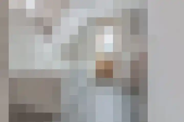 Sieger van der Laanstraat 105 Heerenveen thumbnail 4
