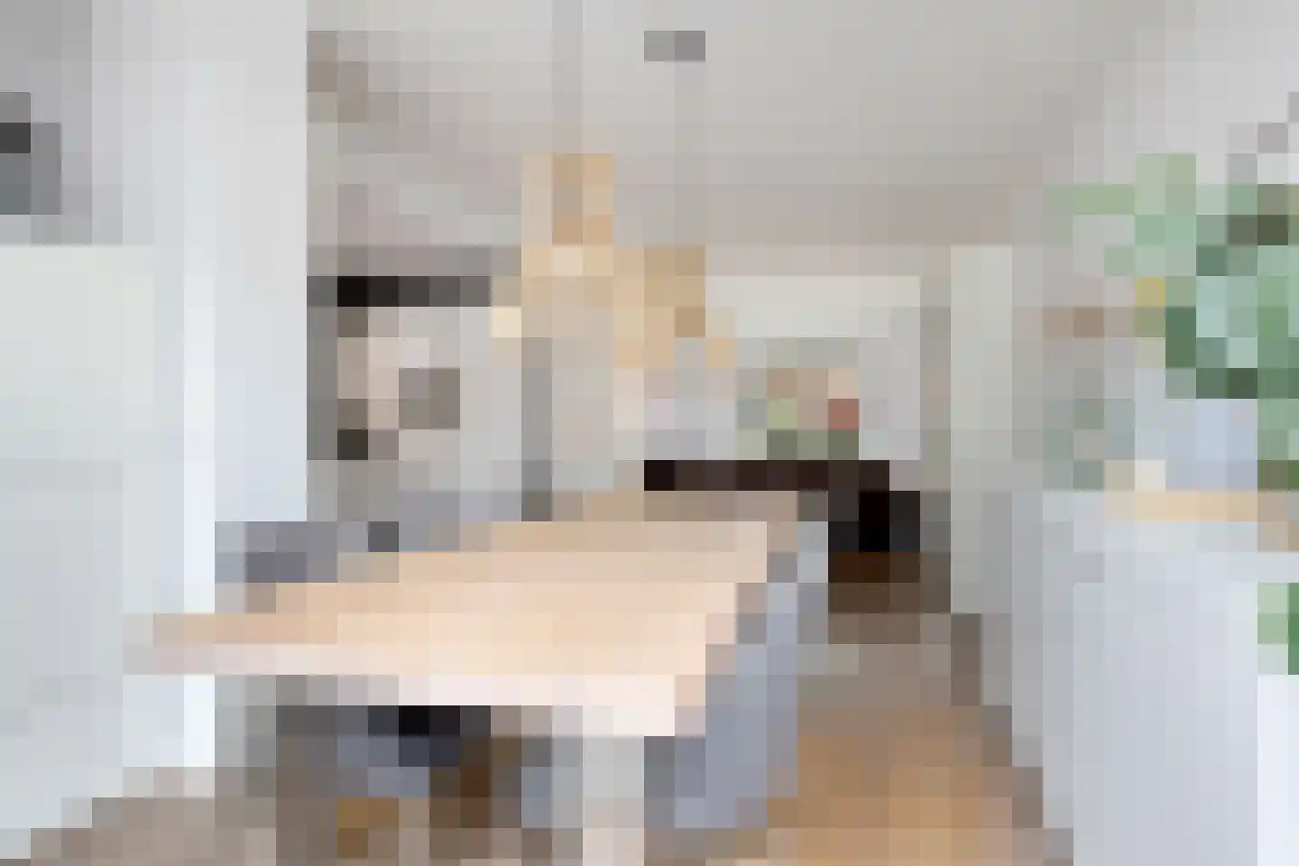 Sieger van der Laanstraat 15 Heerenveen thumbnail 18