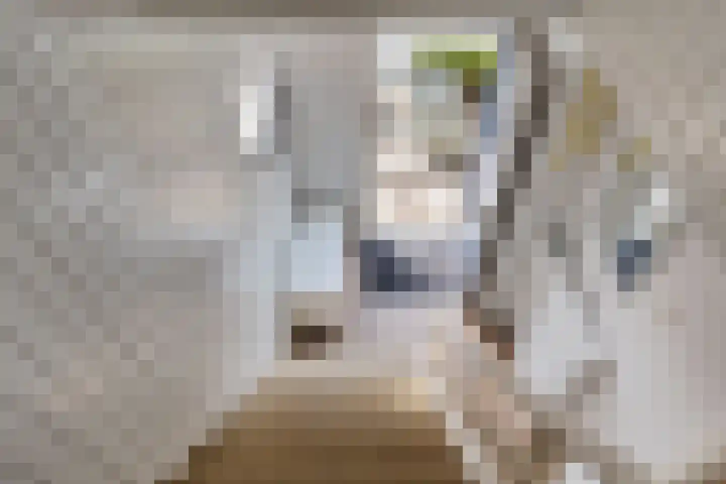 Sieger van der Laanstraat 15 Heerenveen thumbnail 23