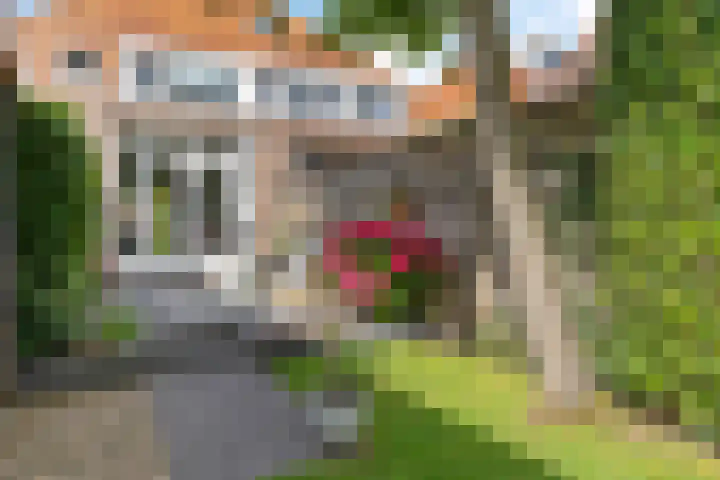 Sieger van der Laanstraat 15 Heerenveen foto 3