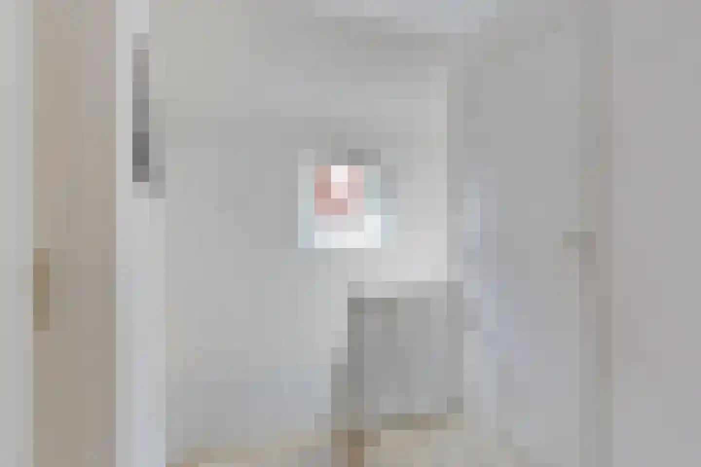 Sieger van der Laanstraat 15 Heerenveen thumbnail 34