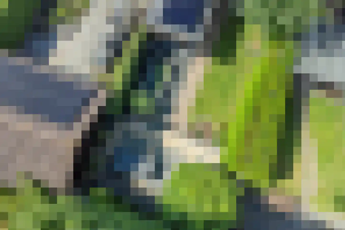 Sieger van der Laanstraat 15 Heerenveen thumbnail 52