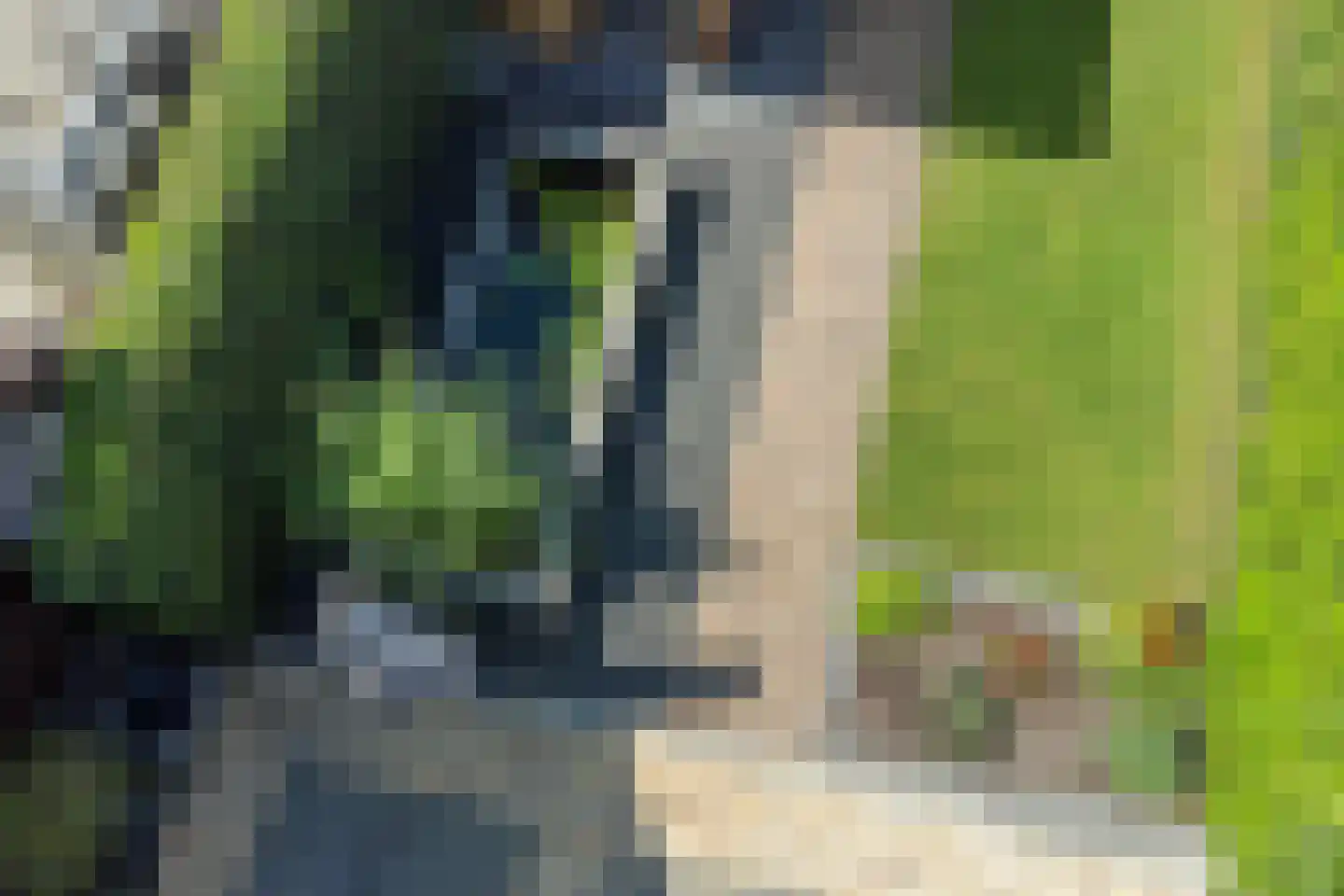 Sieger van der Laanstraat 15 Heerenveen thumbnail 53