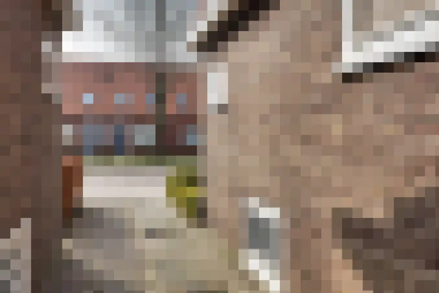 Sieger van der Laanstraat 15 Heerenveen thumbnail 57