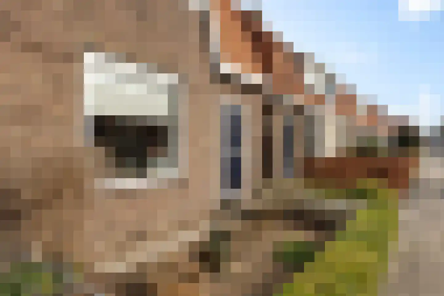 Sieger van der Laanstraat 15 Heerenveen thumbnail 60