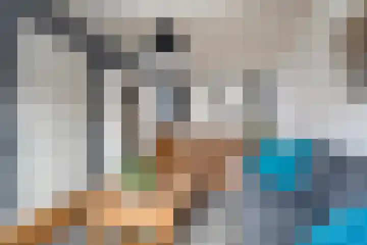 Sieger van der Laanstraat 17 Heerenveen thumbnail 16