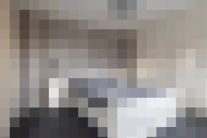 Sieger van der Laanstraat 17 Heerenveen thumbnail 23