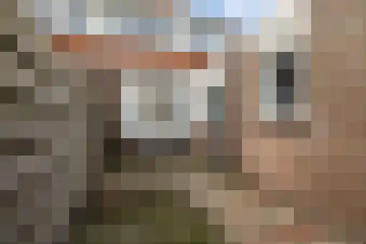 Sieger van der Laanstraat 17 Heerenveen thumbnail 28