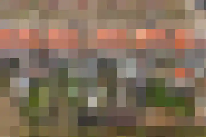 Sieger van der Laanstraat 17 Heerenveen thumbnail 4