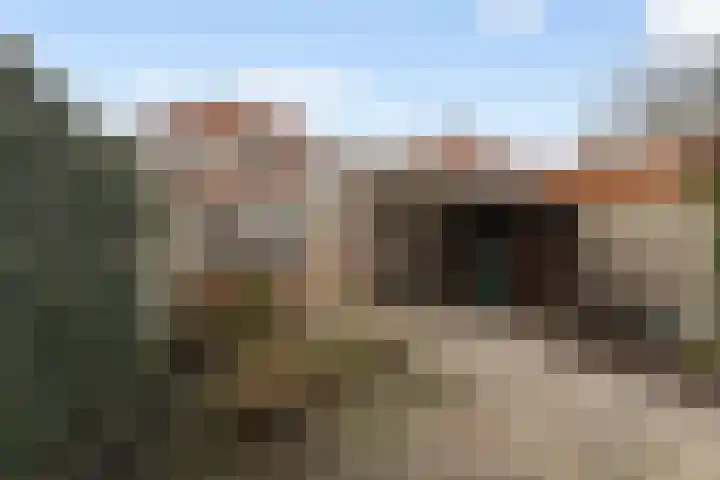 Sieger van der Laanstraat 17 Heerenveen thumbnail 5