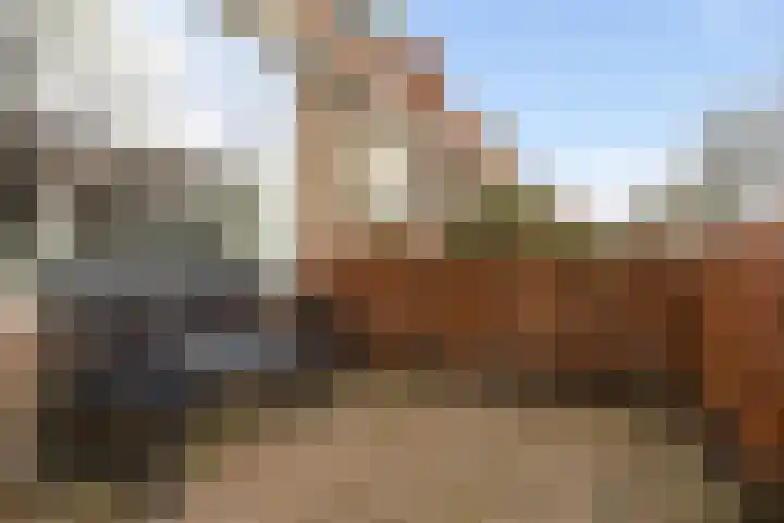 Sieger van der Laanstraat 17 Heerenveen thumbnail 7