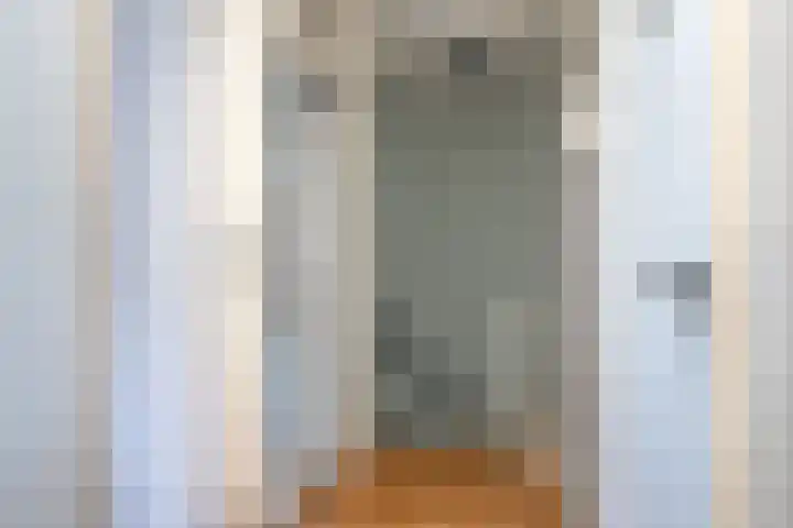 Sieger van der Laanstraat 54 Heerenveen thumbnail 10