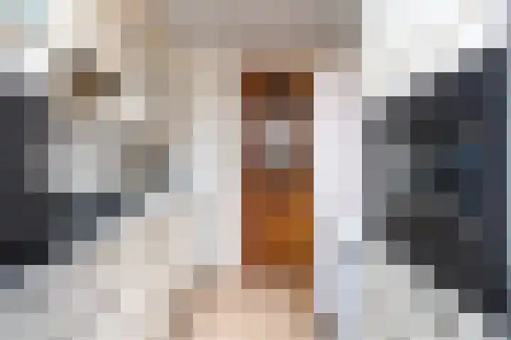 Sieger van der Laanstraat 54 Heerenveen thumbnail 9
