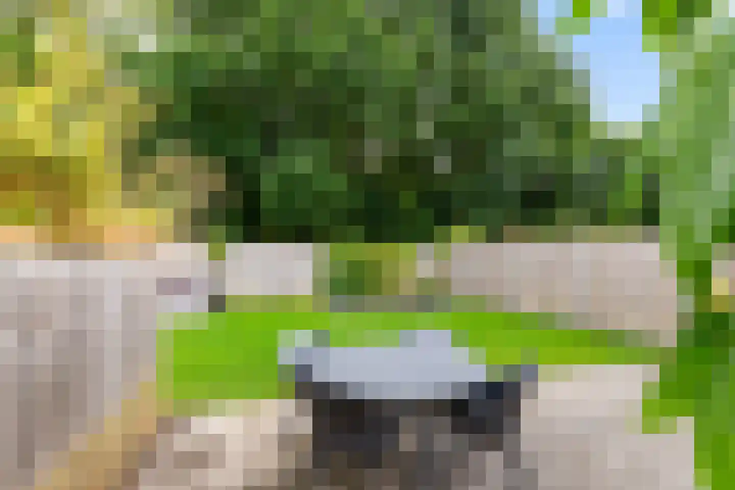 Siegersslag 23 Eelde thumbnail 33