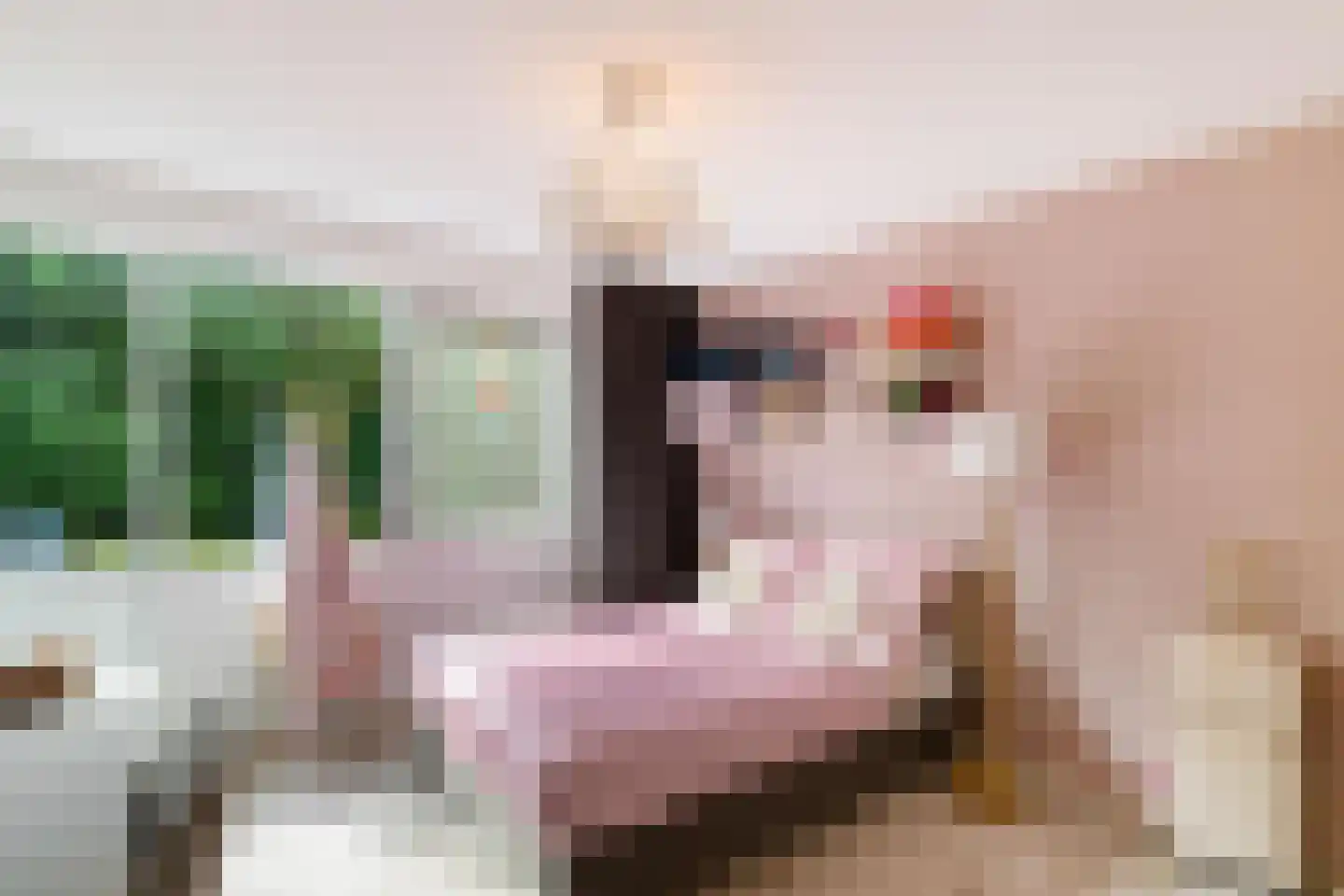 Siegersslag 23 Eelde thumbnail 46