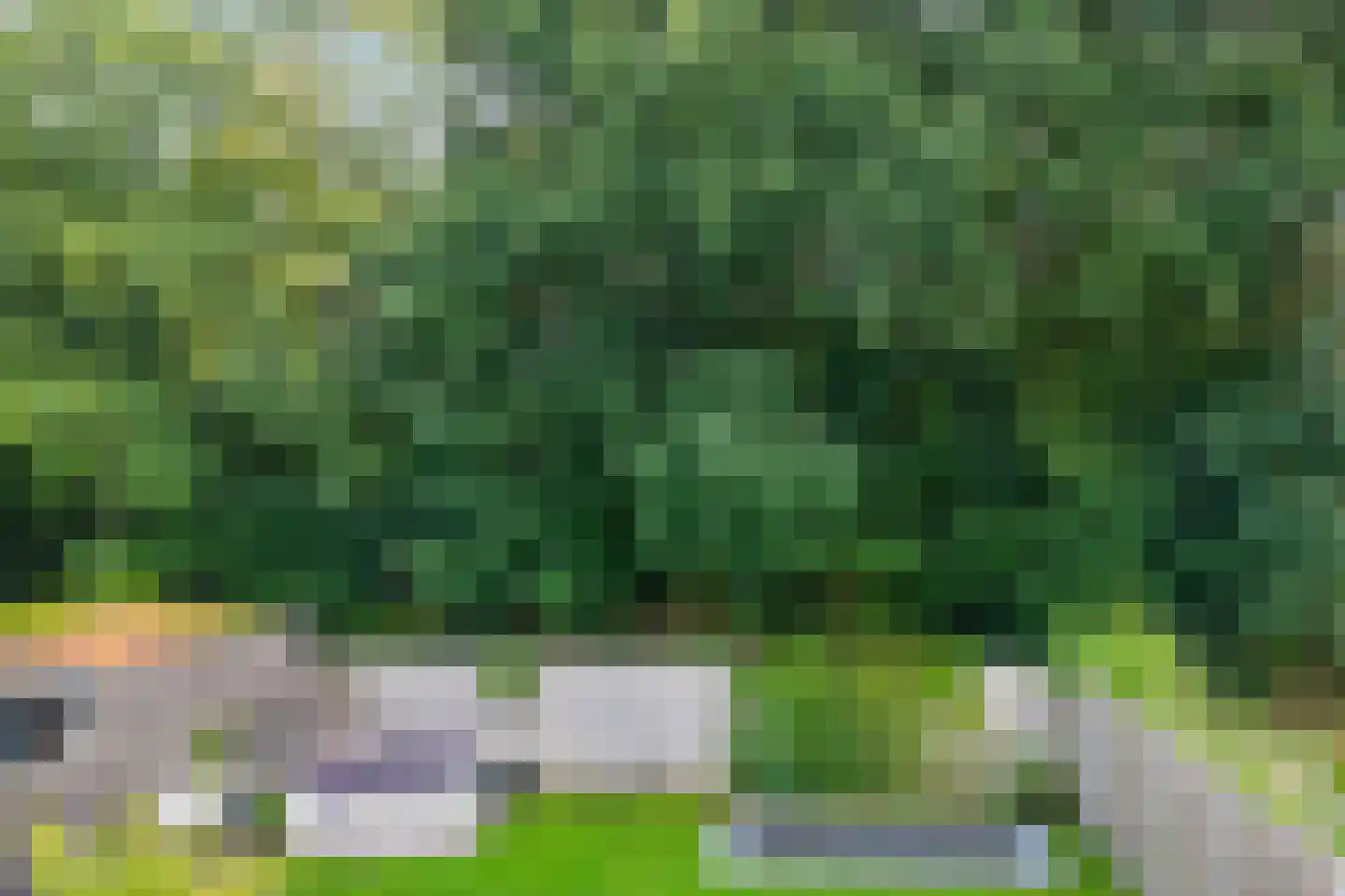 Siegersslag 23 Eelde thumbnail 48