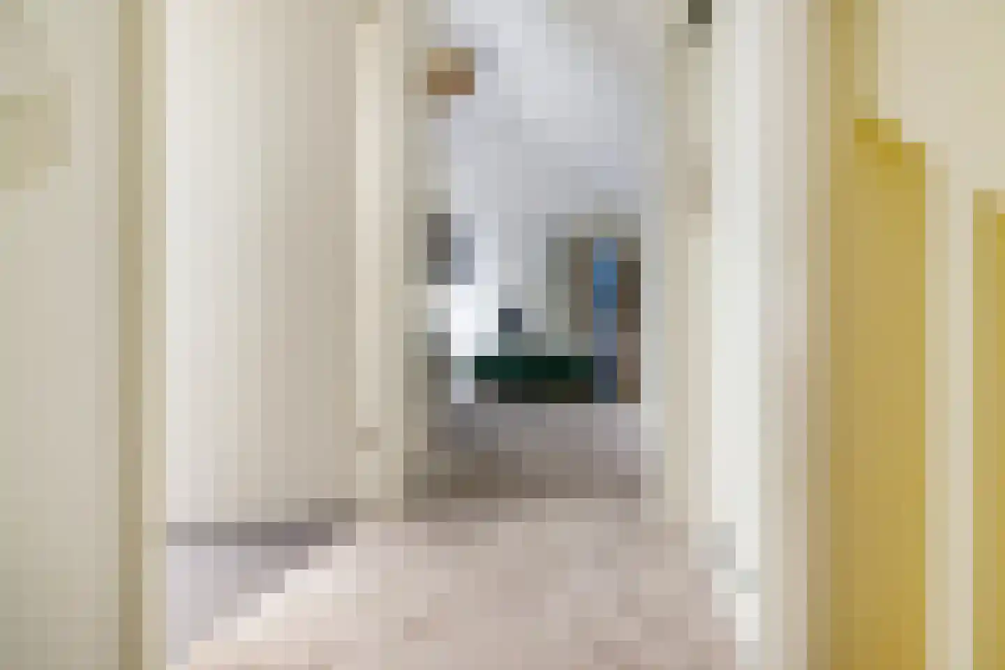 Siegersslag 23 Eelde thumbnail 55
