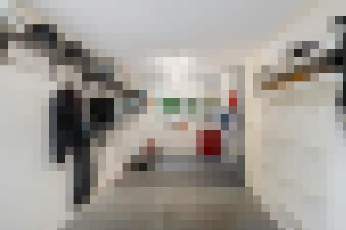 Siegersslag 23 Eelde thumbnail 60