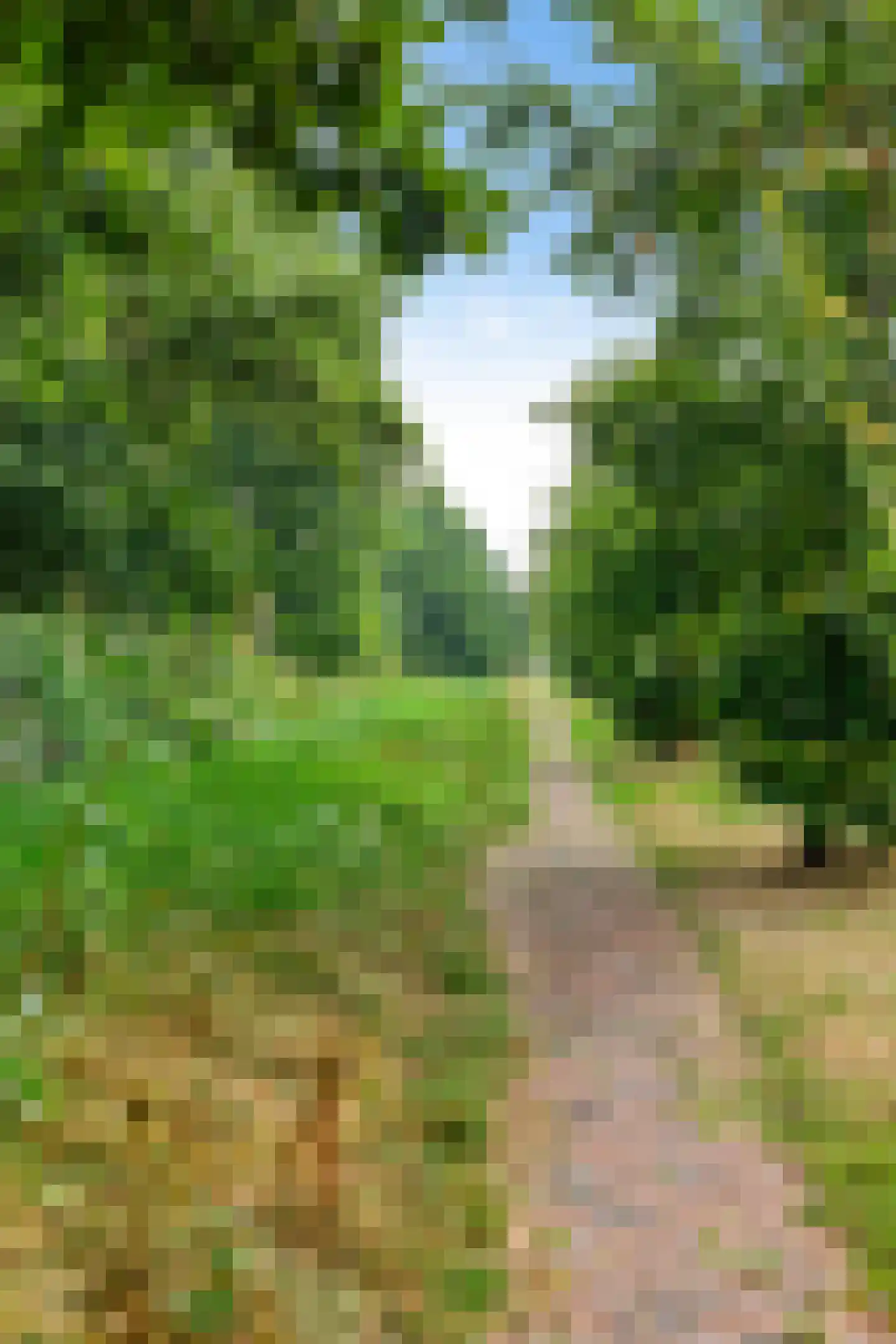 Siegersslag 23 Eelde thumbnail 65