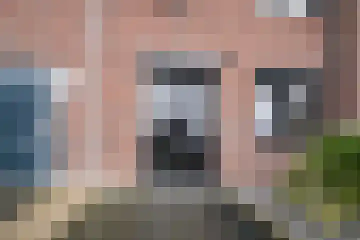 Siem Boonenstraat 12 Haelen thumbnail 10