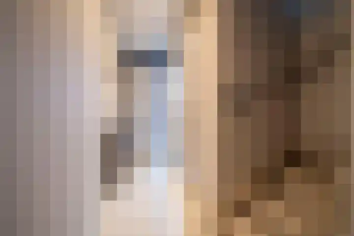 Siem Boonenstraat 12 Haelen thumbnail 12