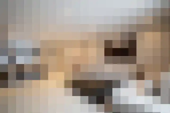 Siem Boonenstraat 12 Haelen thumbnail 13