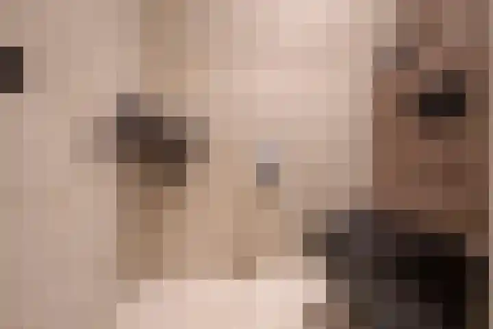 Siem Boonenstraat 12 Haelen thumbnail 14