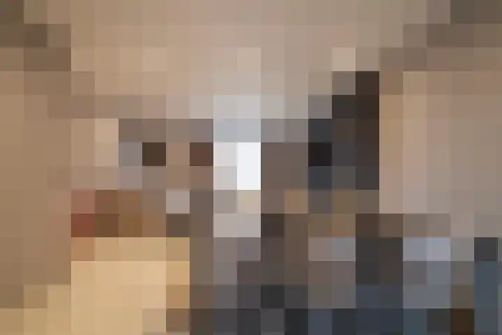 Siem Boonenstraat 12 Haelen thumbnail 15